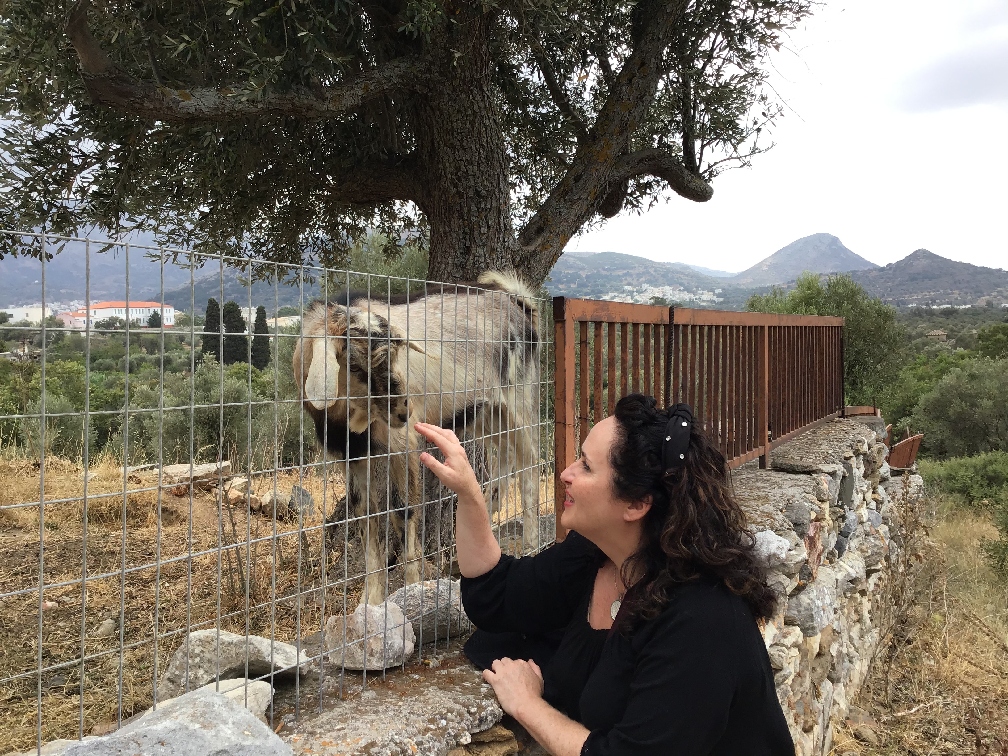 4CDBF7E5-EF32-401C-8A15-7BF6E5C8FBC7