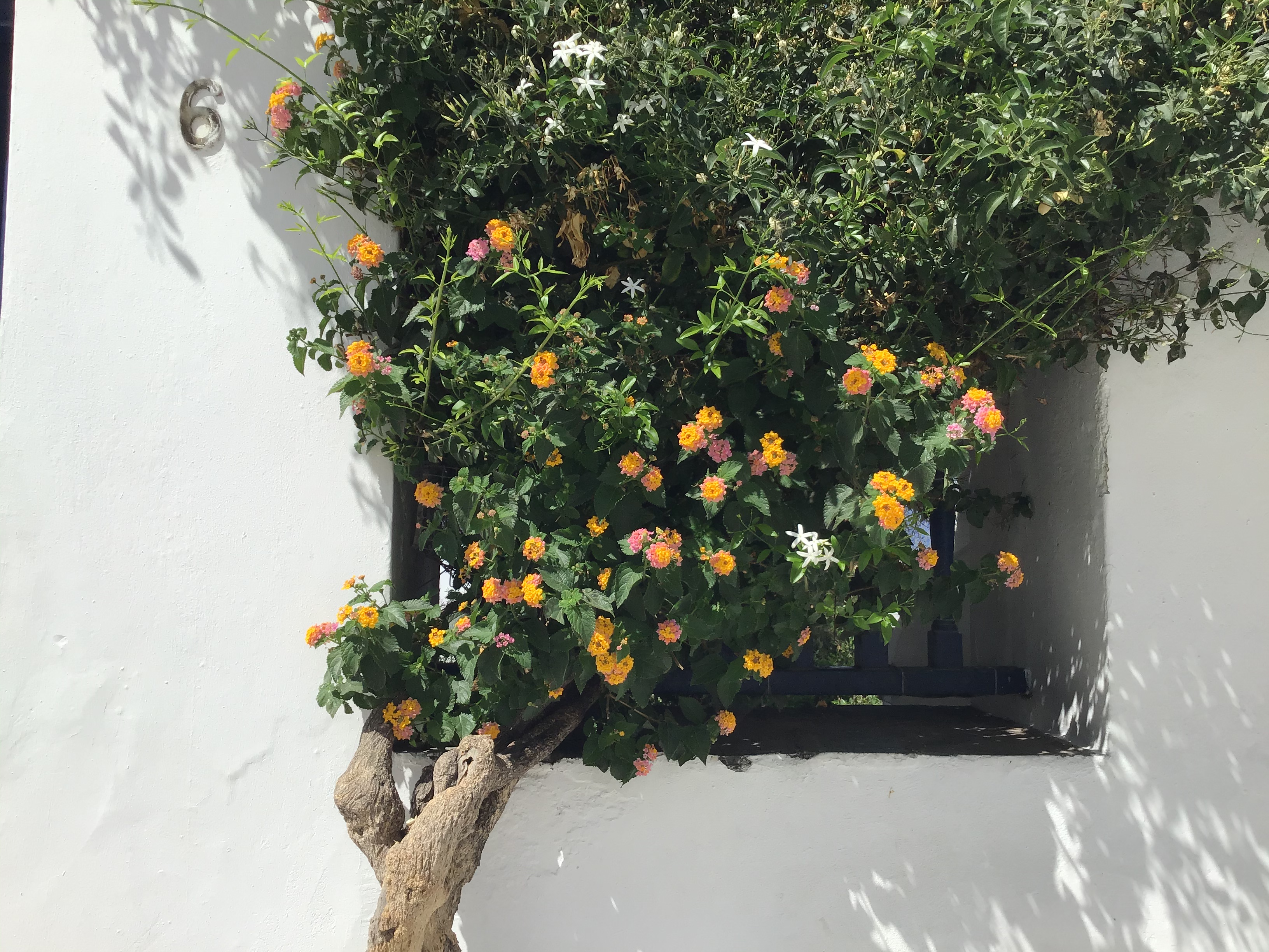 69F96170-07F5-4288-8A60-CFF17DA18792