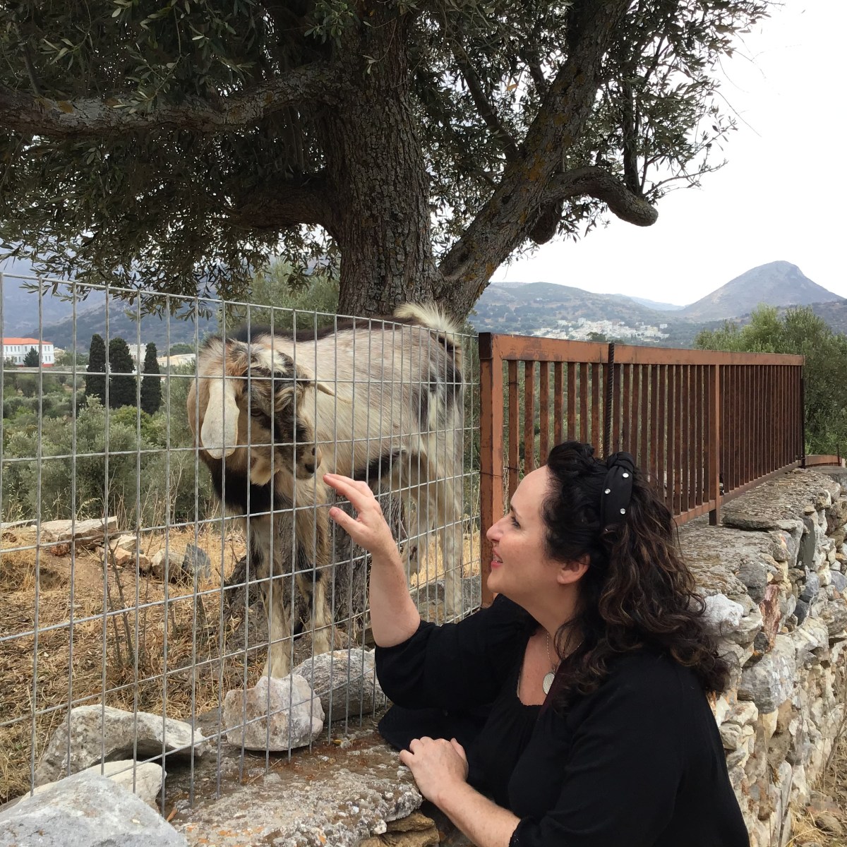 Travel in the age of COVID